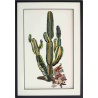 tableau Cactus