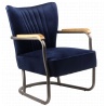 Fauteuil Indus Velvet