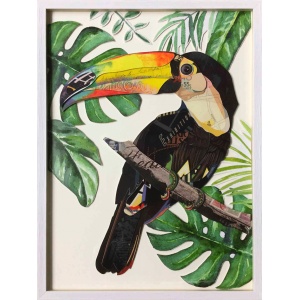 Oiseau tropical