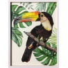 Oiseau tropical